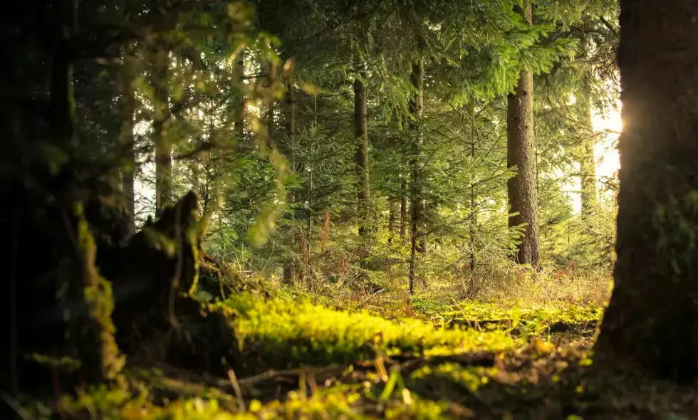 Experiences in Slovenia for motorists