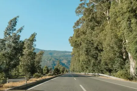 Autostrade della Slovenia e informazioni sull'acquisto della vignetta per il 2025